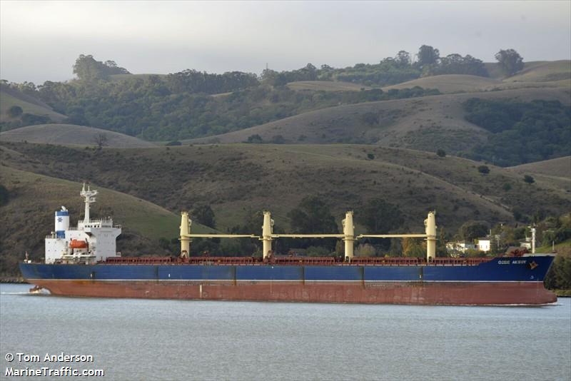 kavkaz v (Bulk Carrier) - IMO 9104574, MMSI 636017263, Call Sign D5KB6 under the flag of Liberia