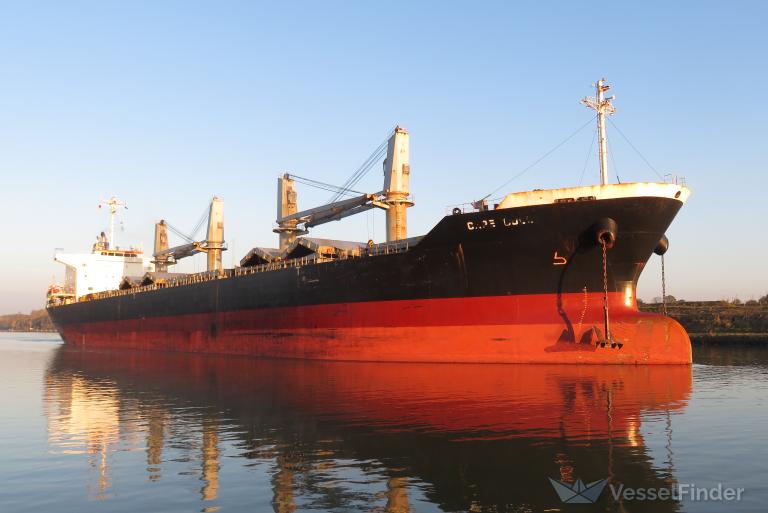 cape gull (Bulk Carrier) - IMO 9674804, MMSI 636020522, Call Sign D5ZO9 under the flag of Liberia