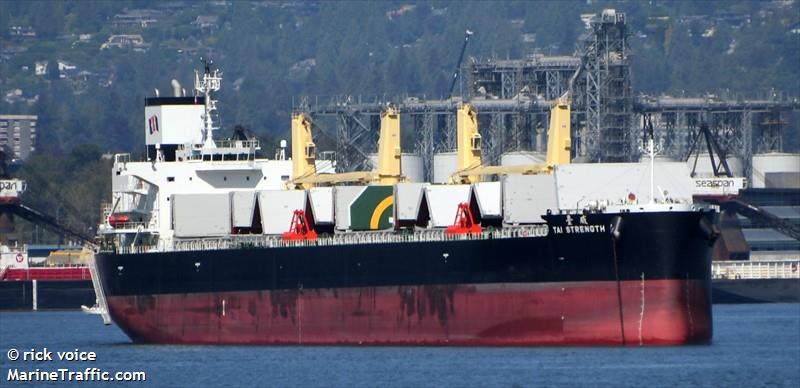 tai strength (Bulk Carrier) - IMO 9881885, MMSI 636020656, Call Sign 5LAB6 under the flag of Liberia