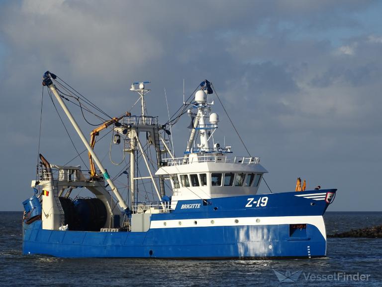 z19 brigitte (Fishing Vessel) - IMO 9898668, MMSI 205096000, Call Sign OPAS under the flag of Belgium