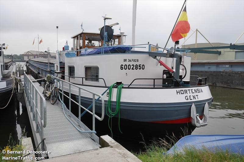 hortensia (Cargo ship) - IMO , MMSI 205352790, Call Sign OT3527 under the flag of Belgium