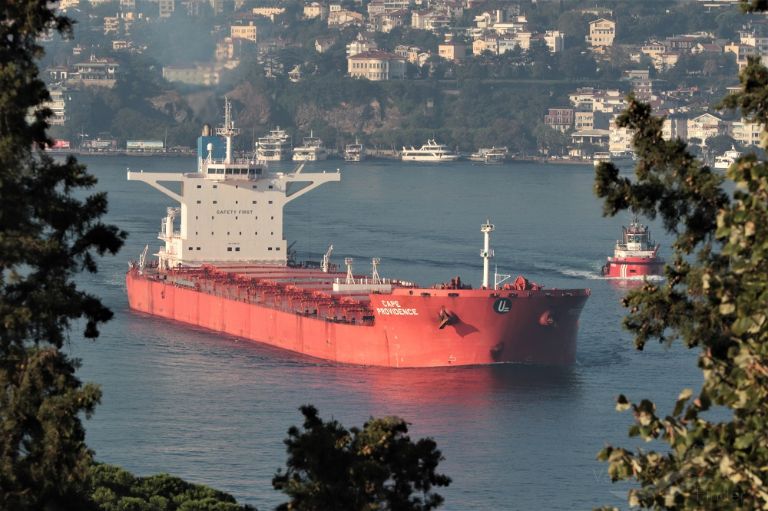 minerva providence (Bulk Carrier) - IMO 9461257, MMSI 229062000, Call Sign 9HA5429 under the flag of Malta