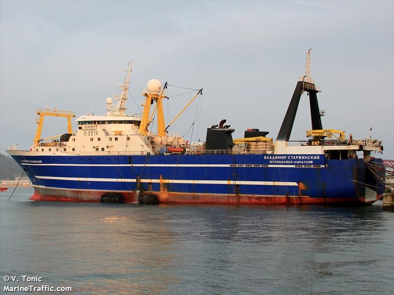 vladimir starzhinsky (Fish Factory Ship) - IMO 8907101, MMSI 273814310, Call Sign UFEL under the flag of Russia