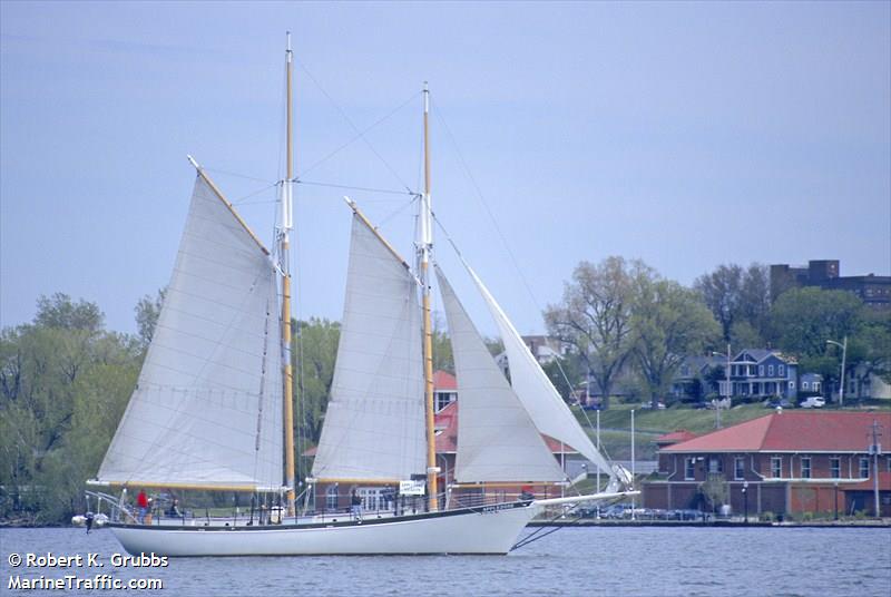 appledore iv (Passenger ship) - IMO , MMSI 367351490, Call Sign WDE4331 under the flag of United States (USA)