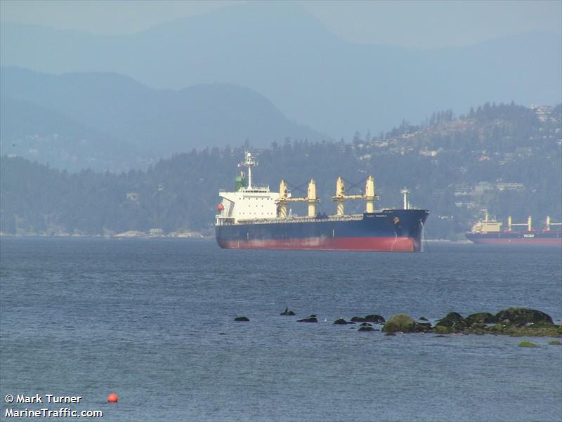 lamar (Bulk Carrier) - IMO 9116321, MMSI 371974000, Call Sign 3ERM3 under the flag of Panama