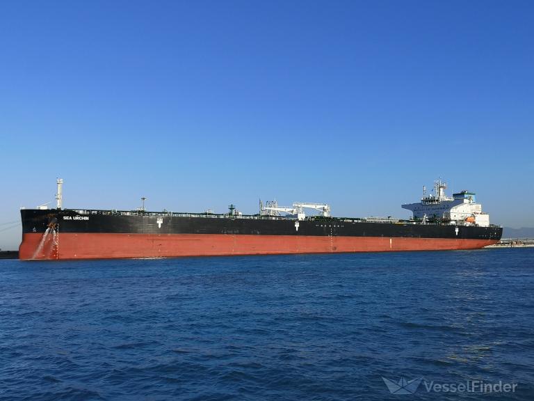 sea urchin (Crude Oil Tanker) - IMO 9886720, MMSI 241730000, Call Sign SVDJ7 under the flag of Greece