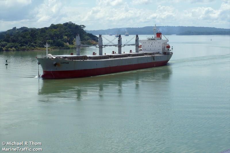 loa peace (Container Ship) - IMO 9138317, MMSI 354021000, Call Sign 3FCD7 under the flag of Panama