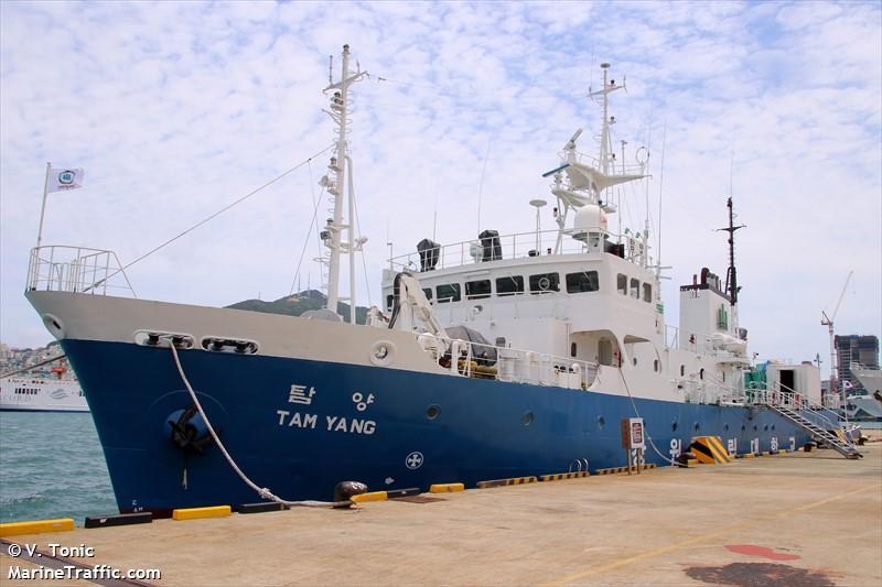 tam yang (Research Vessel) - IMO 8875906, MMSI 440311000, Call Sign DSAA6 under the flag of Korea
