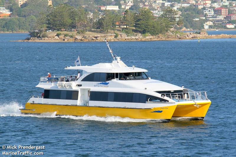 palm cat (Passenger ship) - IMO , MMSI 503261100, Call Sign 29008QC under the flag of Australia