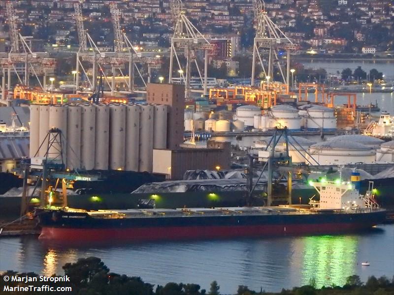 cmb chardonnay (Bulk Carrier) - IMO 9633147, MMSI 563081700, Call Sign 9V6294 under the flag of Singapore