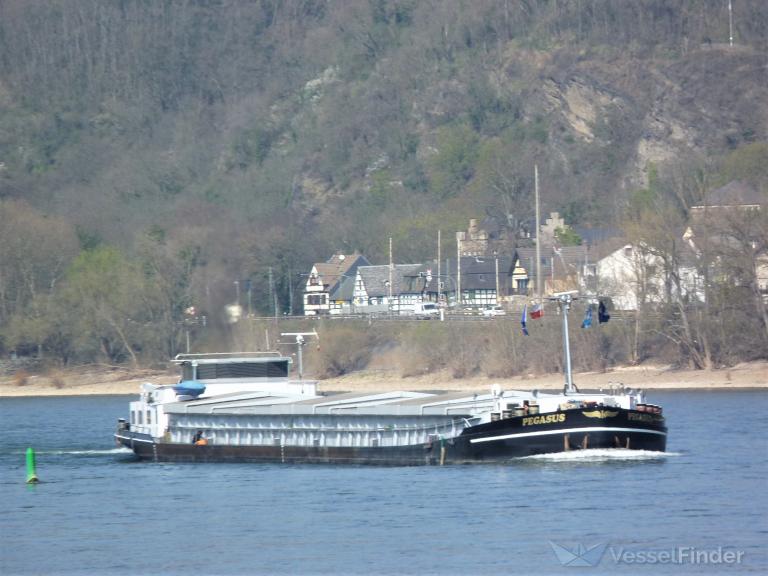 pegasus (Cargo ship) - IMO , MMSI 211737750, Call Sign DK9217 under the flag of Germany