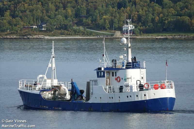 oddoey (Fish Carrier) - IMO 5009673, MMSI 258301000, Call Sign LKPP under the flag of Norway