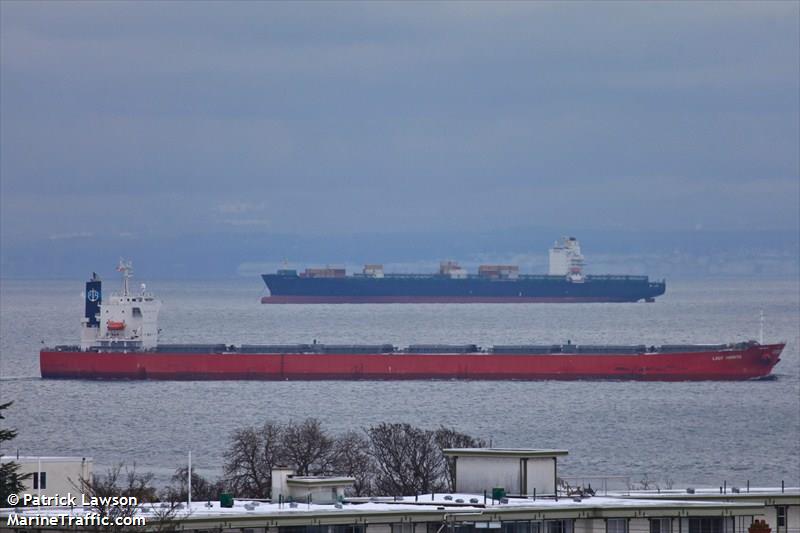 lady arite (Bulk Carrier) - IMO 9544712, MMSI 353544000, Call Sign 3FLA under the flag of Panama