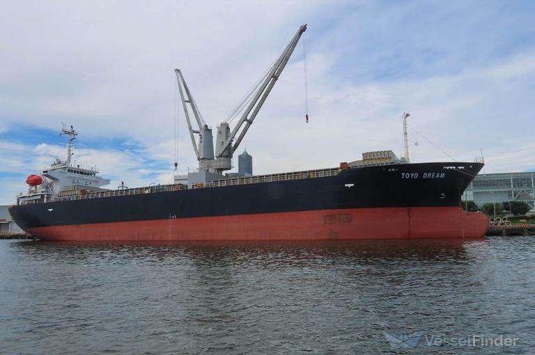 toyo dream (General Cargo Ship) - IMO 9543275, MMSI 371240000, Call Sign 3FLS9 under the flag of Panama