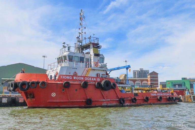 tiong woon ocean 19 (Offshore Tug/Supply Ship) - IMO 9554999, MMSI 563022400, Call Sign 9V5496 under the flag of Singapore