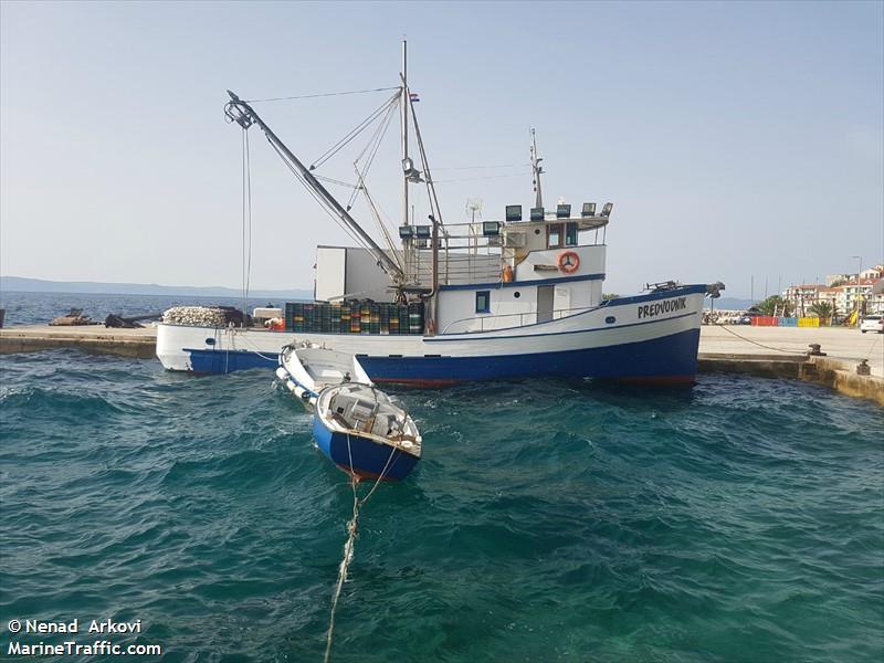 predvodnik (Fishing vessel) - IMO , MMSI 238409840, Call Sign 9AA4579 under the flag of Croatia