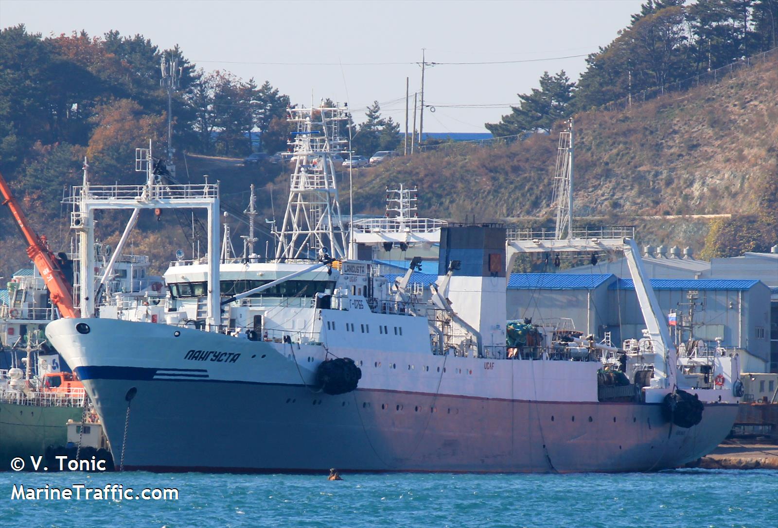 langusta (Fish Factory Ship) - IMO 8817411, MMSI 273447080, Call Sign UGAF under the flag of Russia