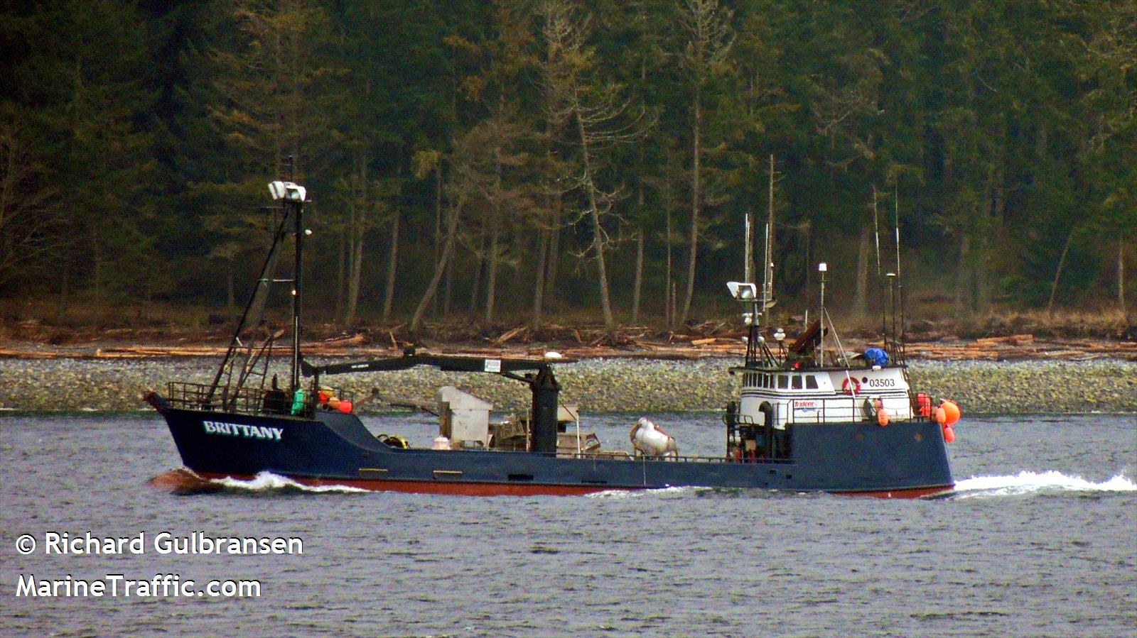 brittany (Fishing Vessel) - IMO 7939535, MMSI 303667000, Call Sign WDD6036 under the flag of Alaska