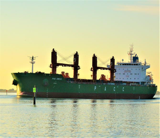 pac ankaa (Bulk Carrier) - IMO 9913664, MMSI 477716800, Call Sign VRUB5 under the flag of Hong Kong