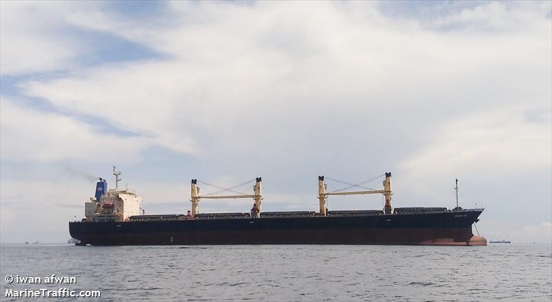 golden ace (Bulk Carrier) - IMO 9296767, MMSI 525013044, Call Sign YBIW2 under the flag of Indonesia