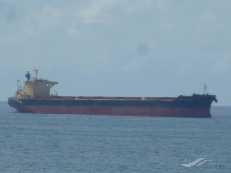 azalea wave (Bulk Carrier) - IMO 9650793, MMSI 636015959, Call Sign D5DS5 under the flag of Liberia