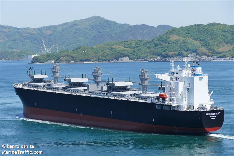 princess lily (Wood Chips Carrier) - IMO 9894698, MMSI 636020616, Call Sign D5ZZ9 under the flag of Liberia