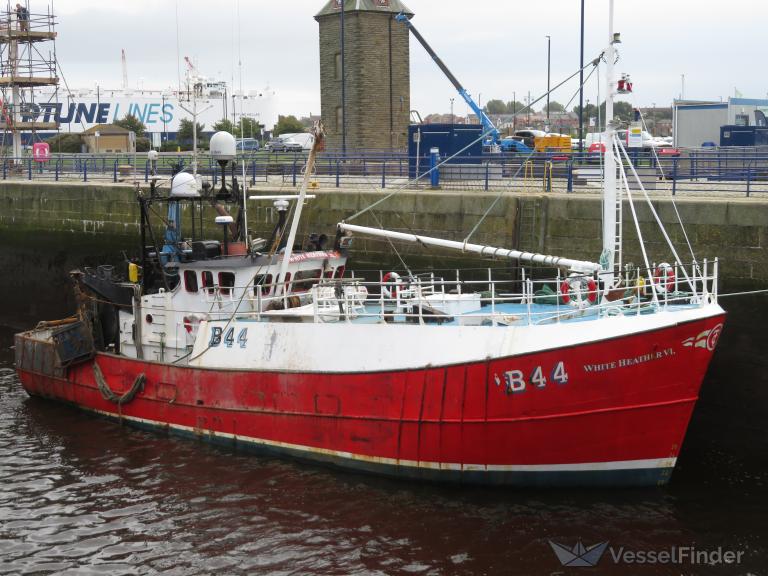 mfv white heather vi (Fishing vessel) - IMO , MMSI 235004600, Call Sign MALS7 under the flag of United Kingdom (UK)