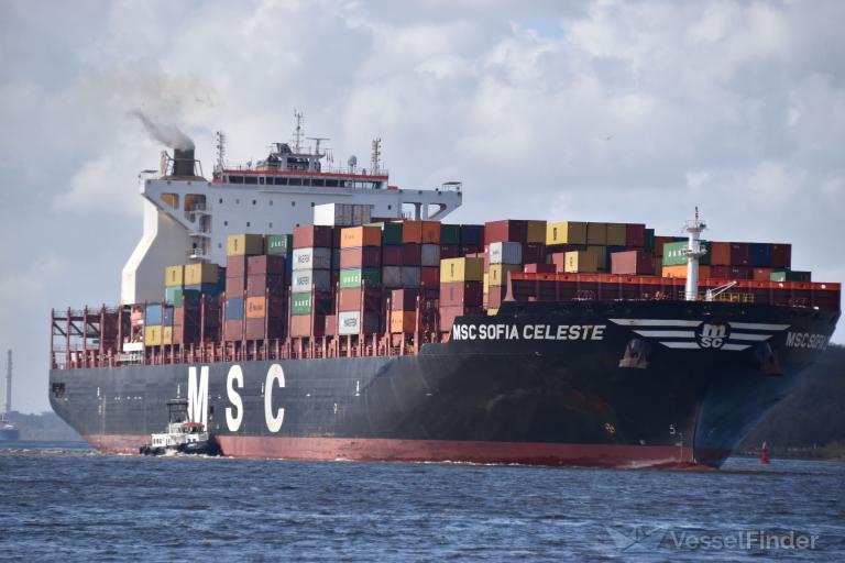 msc sofia celeste (Container Ship) - IMO 9702091, MMSI 255806495, Call Sign CQEV4 under the flag of Madeira