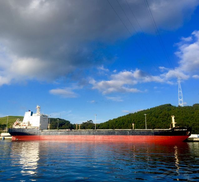 severnaya zemlya (Bulk Carrier) - IMO 9551923, MMSI 352986176, Call Sign HOA2150 under the flag of Panama