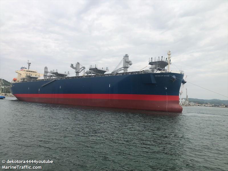 prince of nature (Wood Chips Carrier) - IMO 9890537, MMSI 354620000, Call Sign 3FQA3 under the flag of Panama