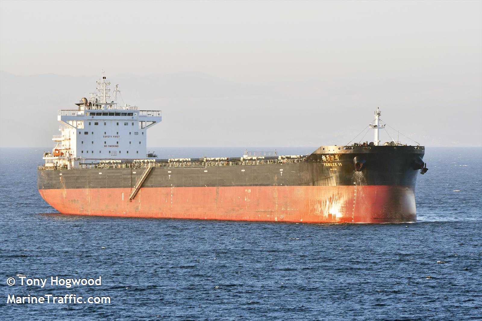 diamond globe (Bulk Carrier) - IMO 9828857, MMSI 538009455, Call Sign V7A4769 under the flag of Marshall Islands