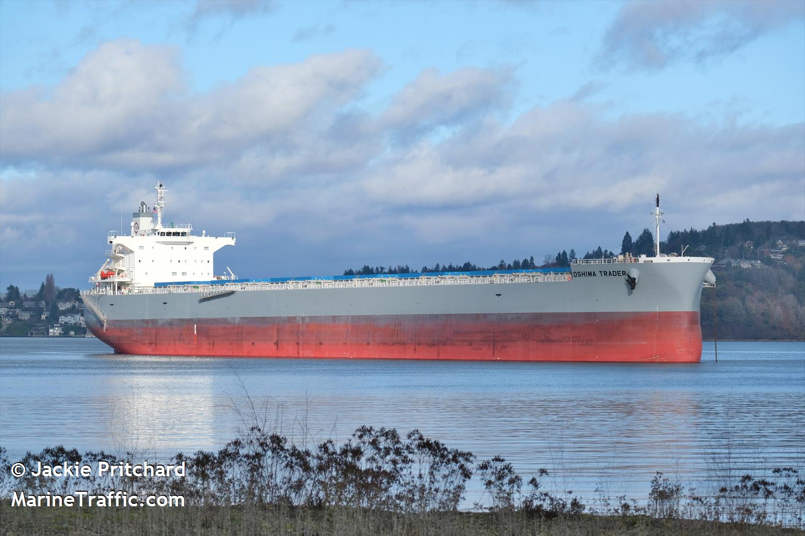 oshima trader (Bulk Carrier) - IMO 9867580, MMSI 548688000, Call Sign DYGA under the flag of Philippines