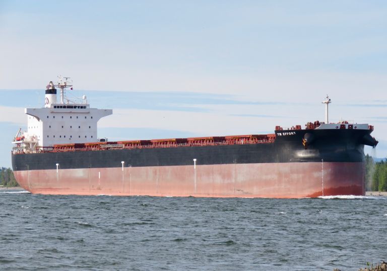 asl moon (Bulk Carrier) - IMO 9389239, MMSI 563128500, Call Sign 9V7019 under the flag of Singapore