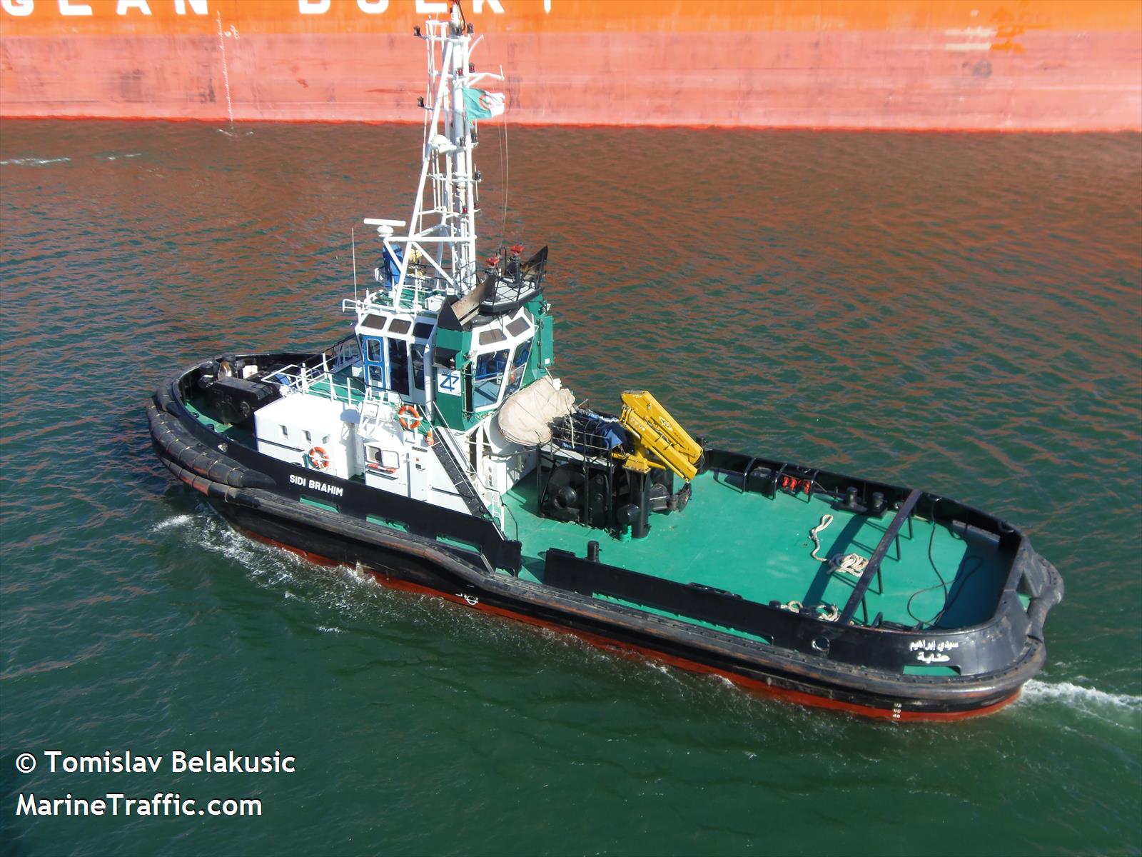 sidi brahim (Tug) - IMO 9366770, MMSI 605036464, Call Sign 7TCD under the flag of Algeria