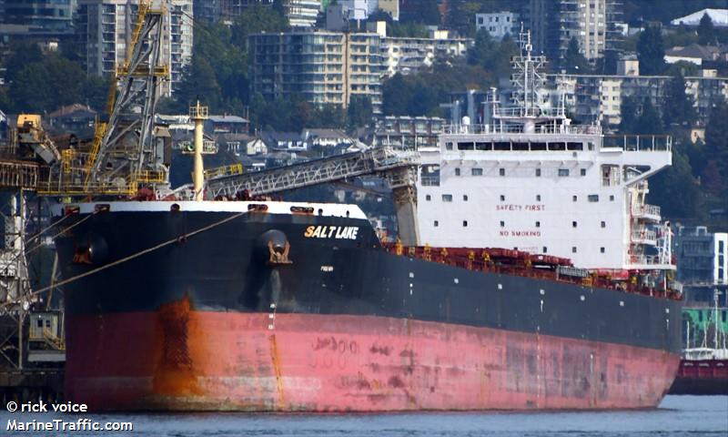 salt lake (Bulk Carrier) - IMO 9835977, MMSI 636018217, Call Sign D5OR5 under the flag of Liberia