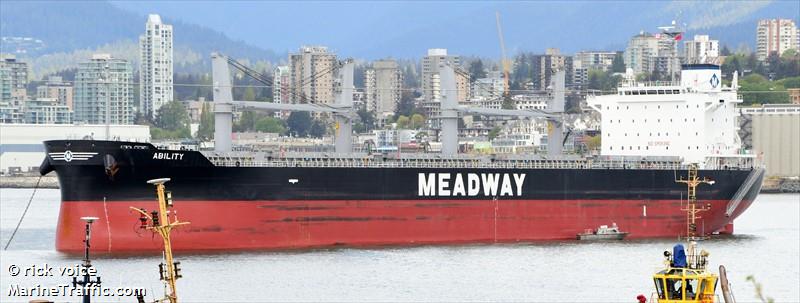 ability (Bulk Carrier) - IMO 9908281, MMSI 636020794, Call Sign 5LAT4 under the flag of Liberia