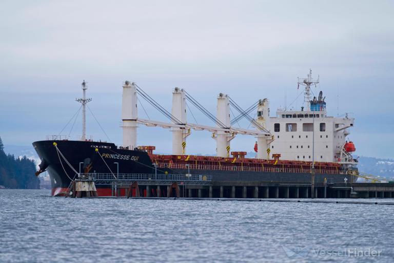 princesse oui (General Cargo Ship) - IMO 9711913, MMSI 636093022, Call Sign 5LBL6 under the flag of Liberia