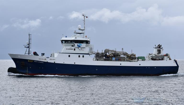 ronia atlantic (Fish Carrier) - IMO 9451563, MMSI 725001544, Call Sign CA5569 under the flag of Chile