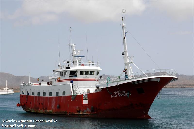 avo musico (Fishing Vessel) - IMO 9280043, MMSI 263580000, Call Sign CUBH-3 under the flag of Portugal