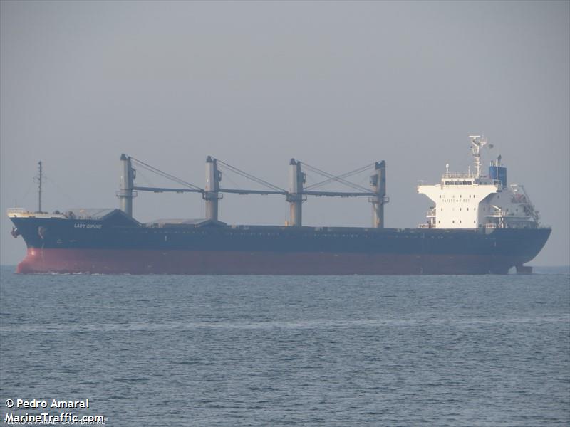 lady dimine (Bulk Carrier) - IMO 9573957, MMSI 311001060, Call Sign C6FB4 under the flag of Bahamas