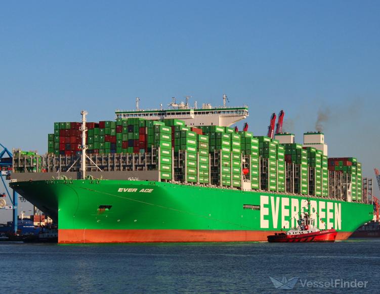 ever ace (Container Ship) - IMO 9893890, MMSI 352986146, Call Sign 3E2382 under the flag of Panama