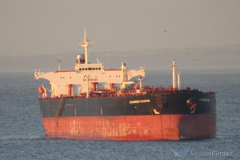 glaucus (Crude Oil Tanker) - IMO 9337389, MMSI 353253000, Call Sign 3EUK6 under the flag of Panama