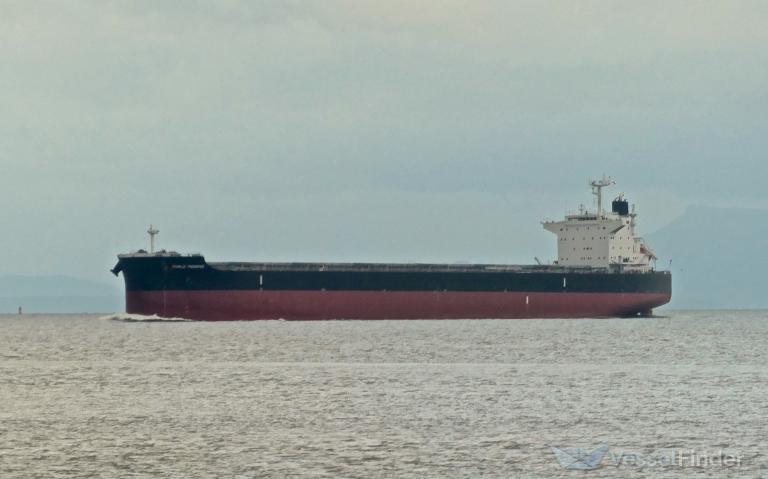 world prosper (Bulk Carrier) - IMO 9911721, MMSI 374327000, Call Sign 3FVV3 under the flag of Panama