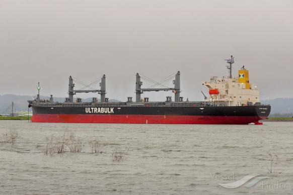 ultra tolhuaca (Bulk Carrier) - IMO 9668934, MMSI 725003837, Call Sign CBUL under the flag of Chile