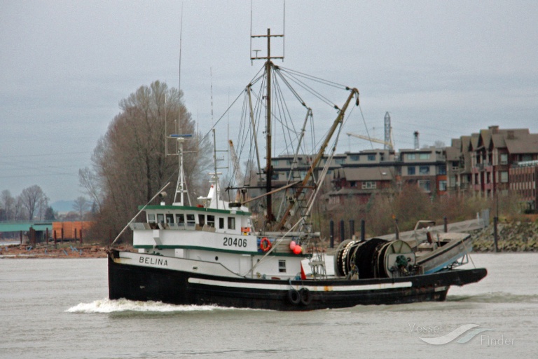 belina (Fishing Vessel) - IMO 5039678, MMSI 316003527, Call Sign CY3195 under the flag of Canada