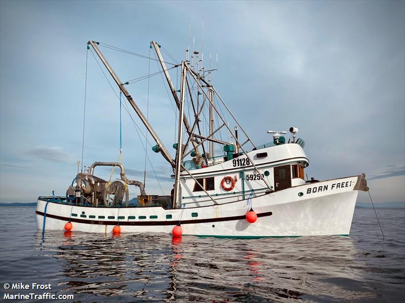 born free 1 (Fishing vessel) - IMO , MMSI 316005434, Call Sign CZ2041 under the flag of Canada