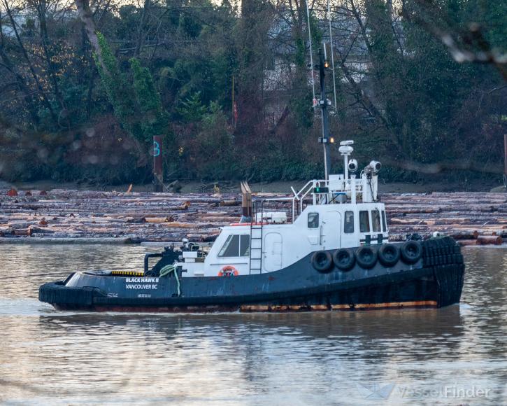 black hawk ii (Tug) - IMO , MMSI 316021382 under the flag of Canada