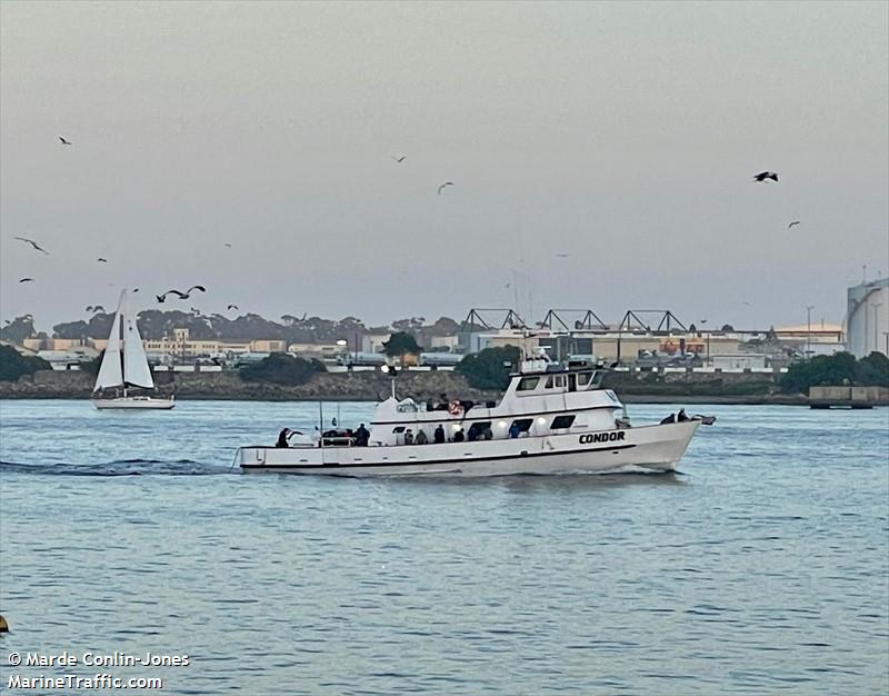 condor (Passenger ship) - IMO , MMSI 367677850, Call Sign WDI2408 under the flag of United States (USA)