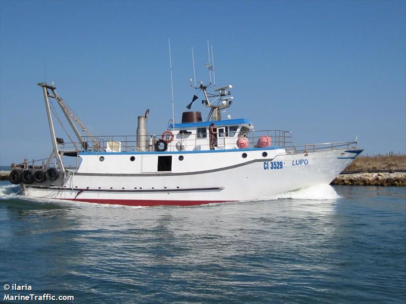 lupo (Fishing vessel) - IMO , MMSI 247051560, Call Sign IRNR under the flag of Italy