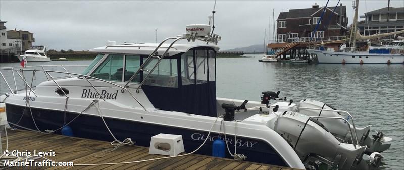 blue bud (Pleasure craft) - IMO , MMSI 338229693 under the flag of USA
